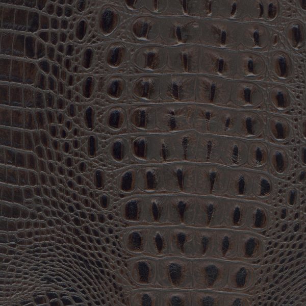 Designer Croco Chocolate