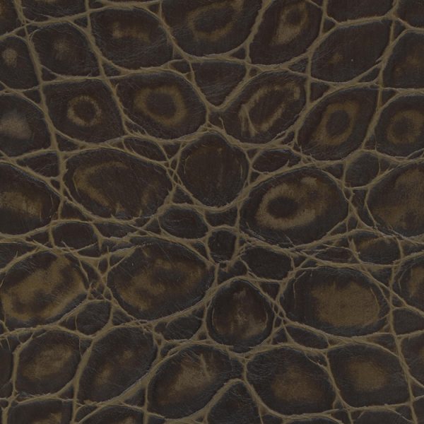 Designer Galapagos Mink