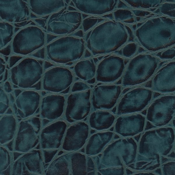 Designer Galapagos Teal