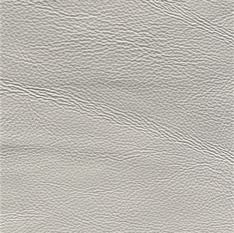 Denver Glacier