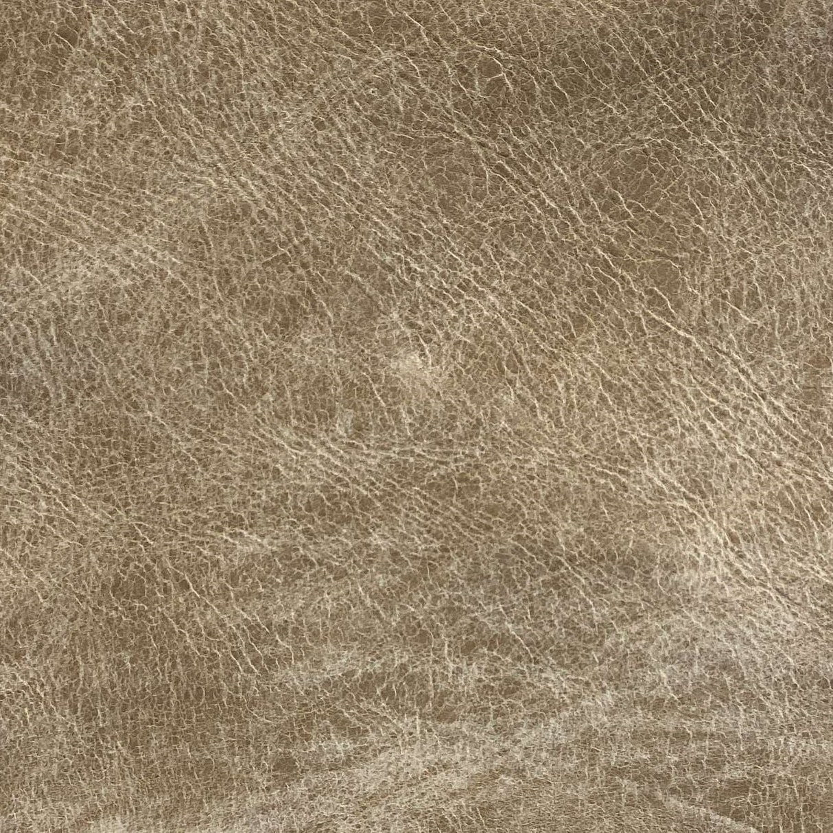 Grand Canyon Bisque