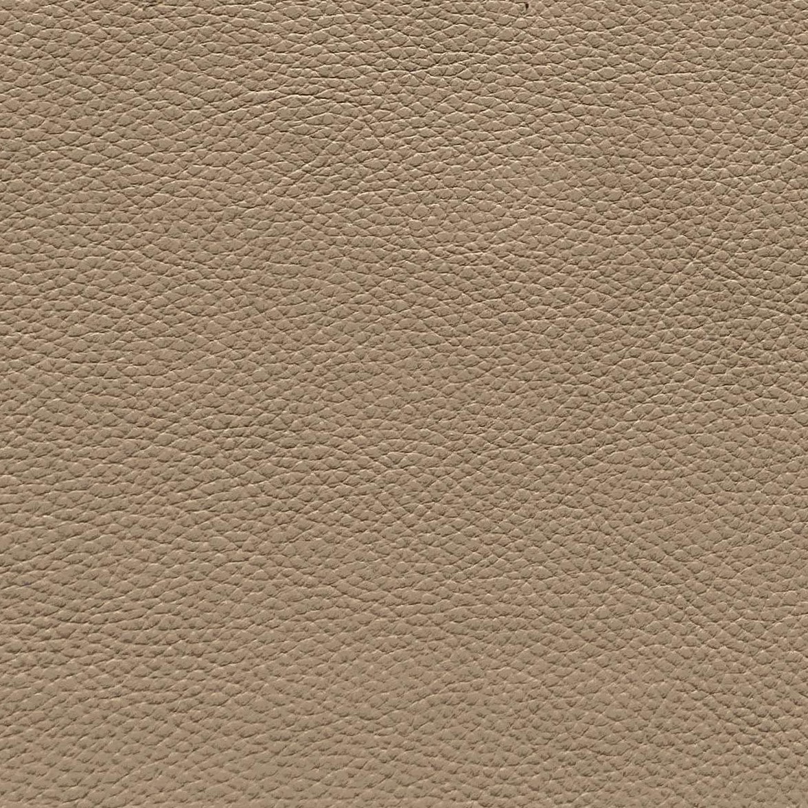 Oxford Fawn